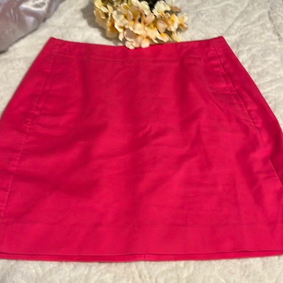 LOFT Dresses & Skirts - LOFT SKIRT SIZE 6